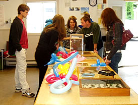 Cornell boxes of insects and live cockroaches were a definite hit!